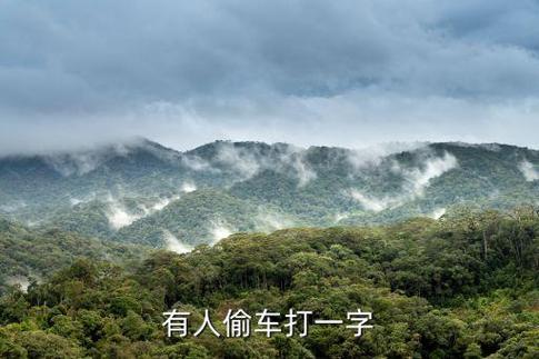 有人偷车打一字谜答案是什么
