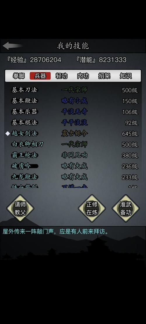 放置江湖值得氪金的武学