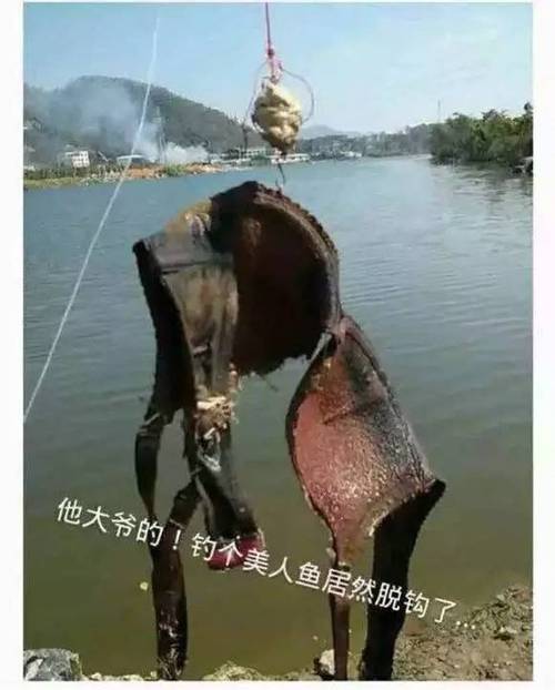 钓鱼恶搞图