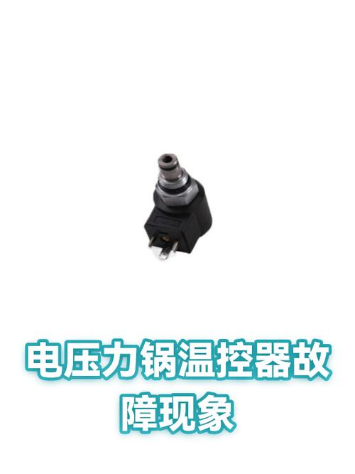 电压力锅温控坏了现象
