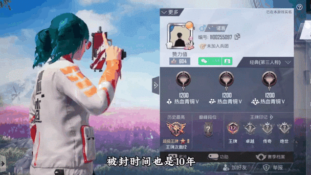 和平精英玩家巡查