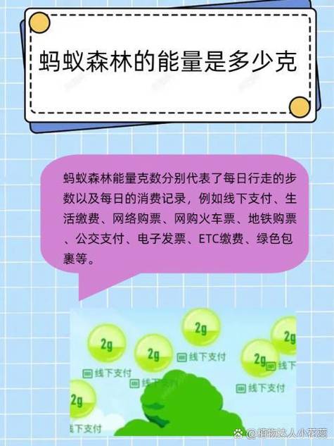 蚂蚁森林52g能量是什么消费