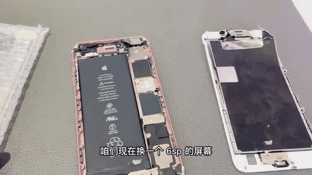 苹果6plus拍摄动态照片的方法截图2