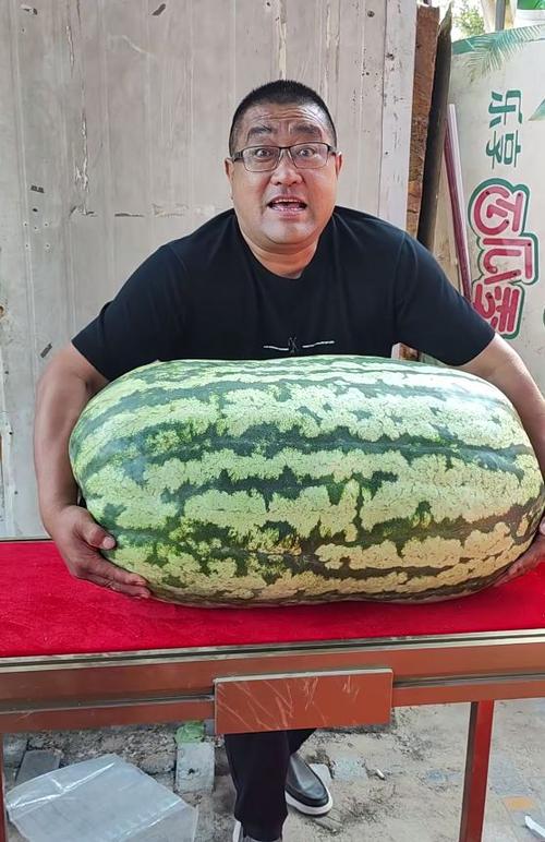 世界上有多少种瓜图片截图3