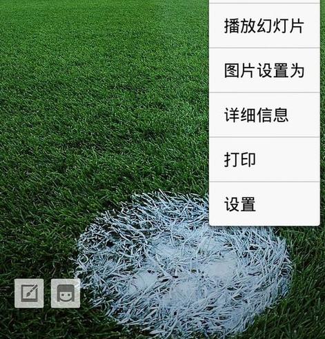 vivo手机相册怎样设置显示相片日期截图2