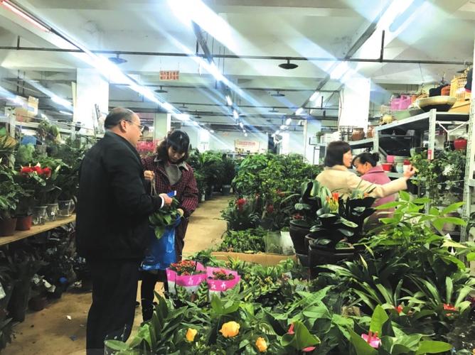 绿植批发市场