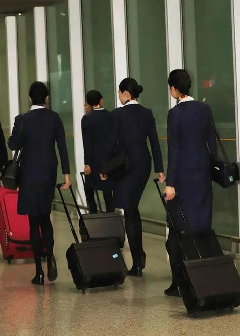 乘务员的箱子里都有什么