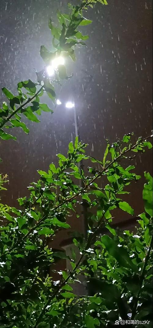 抖音上很火的歌雨下了一整夜