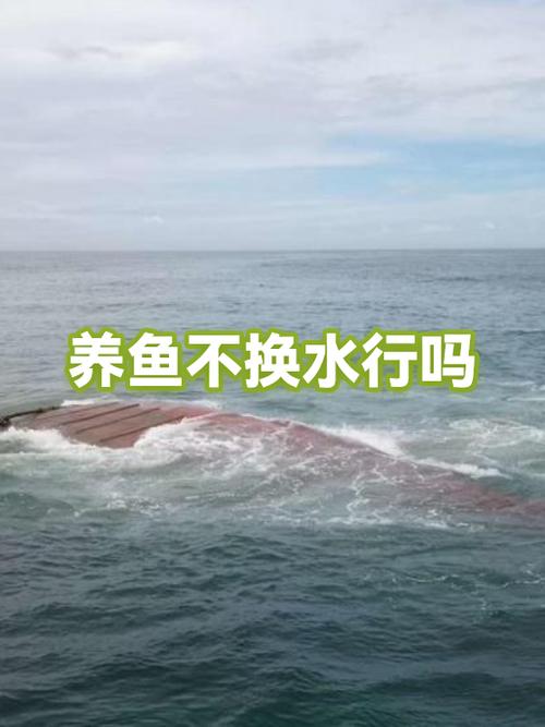 鱼缸养鱼可以不换水吗截图2