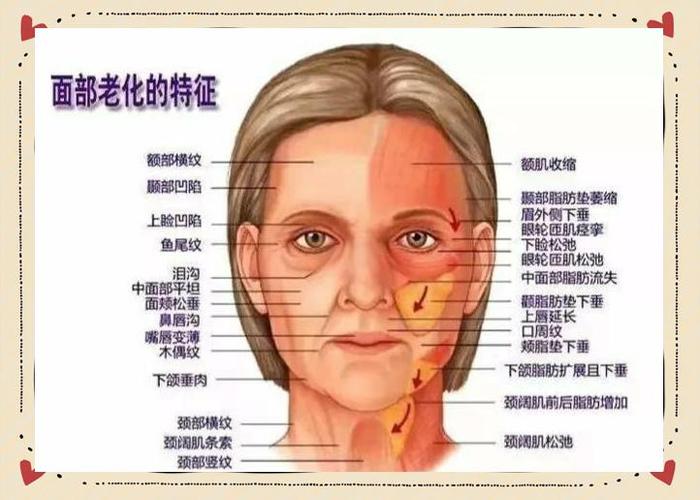 老化的特征有哪些五个方面
