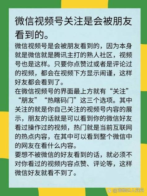 视频号刚点赞会被朋友立马看到吗