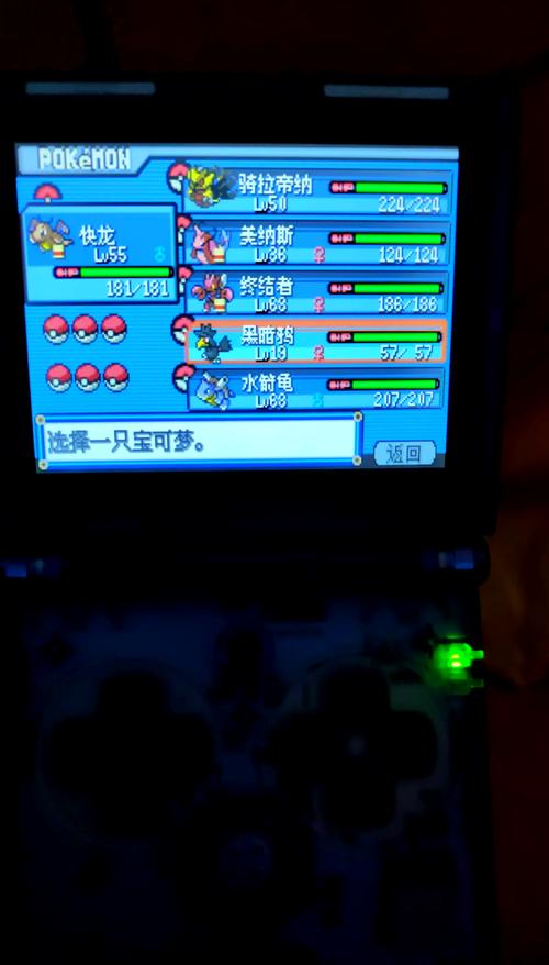 口袋妖怪白金光炽热道馆门口有个精