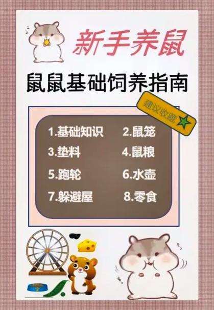 新手养仓鼠的注意事项20条