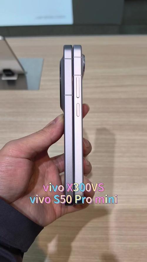 懂行的人建议买s50还是x300