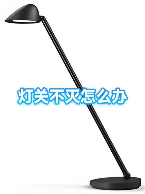手机屏幕灯不灭怎么办
