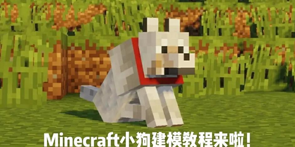 我的世界带狗过海 我的世界带狗过海