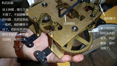 北极星挂钟机芯拆解图