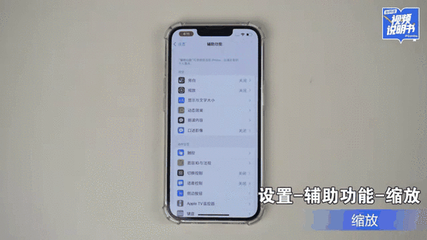 苹果17怎么关闭缩放功能截图3