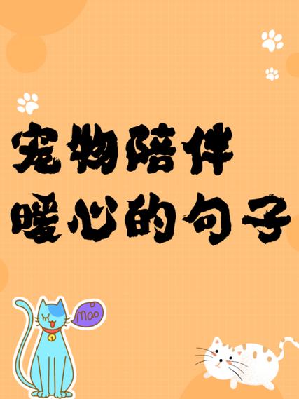 陪伴的暖心的句子 陪伴的暖心的句子
