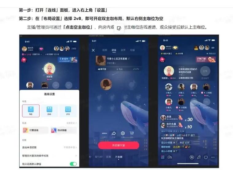 语音厅双开是什么意思啊