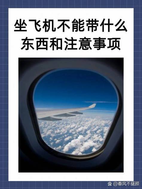 飞机上不能带的东西清单截图2