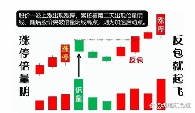 量价老罗从零开始学炒股视频