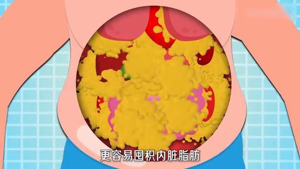 内脏脂肪怎么减最有效
