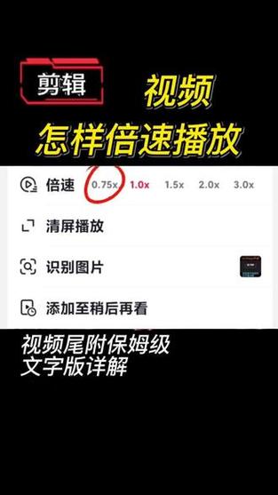 视频2倍速度怎么变慢