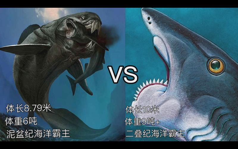 旋齿鲨vs邓氏鱼