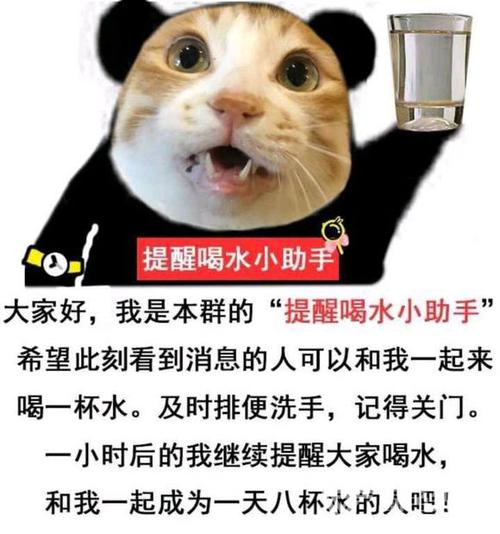 小助手表情包生成