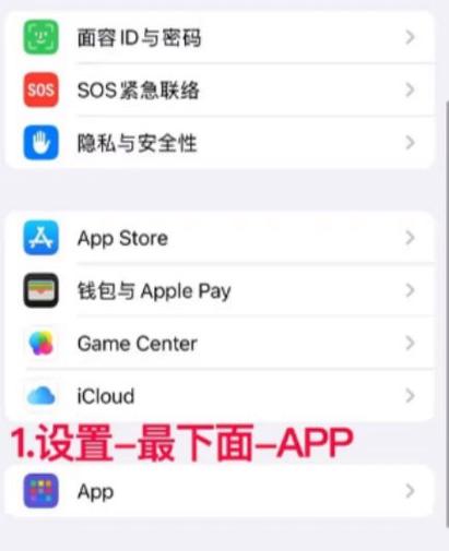 苹果语音留言密码在哪里设置