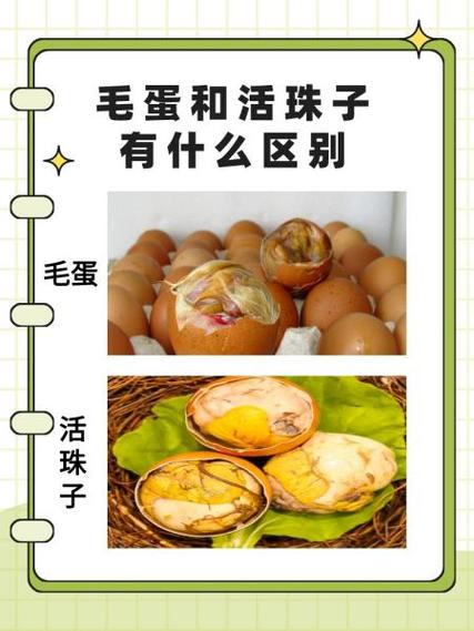鸡蛋与活珠子的区别