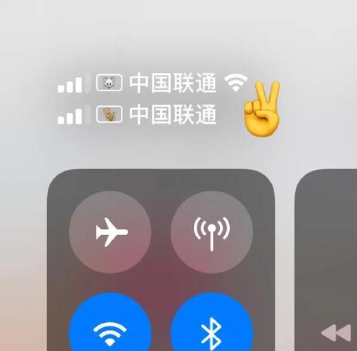 苹果信号格设置方法
