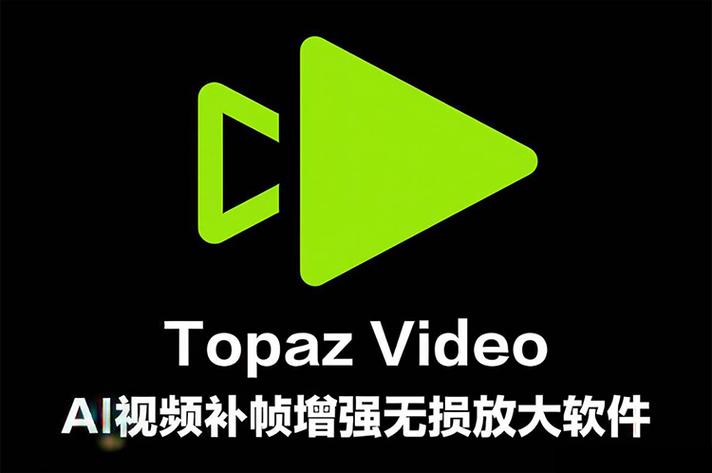 topaz video ai修复画质截图3