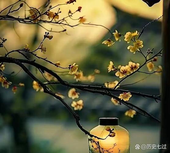 不似旧日全集
