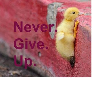give up