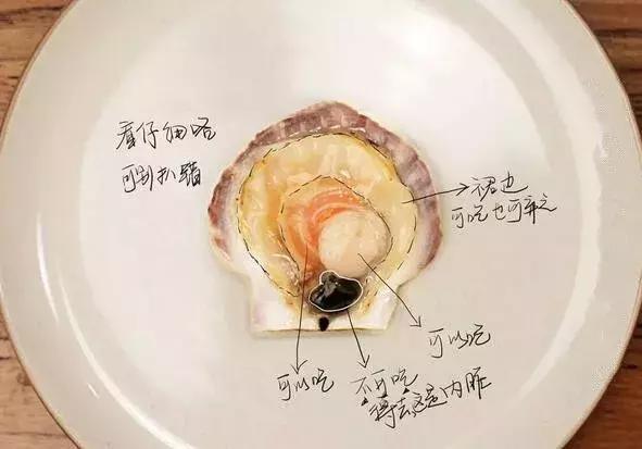 6种人不宜吃扇贝截图1