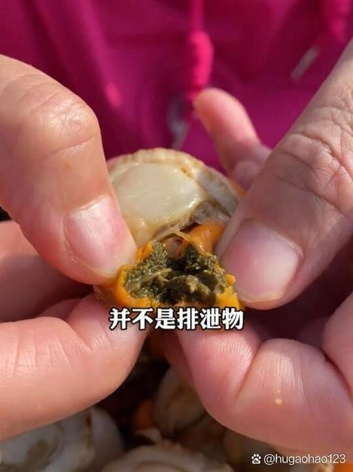 6种人不宜吃扇贝截图3