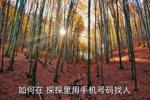 通过手机号能找到人吗