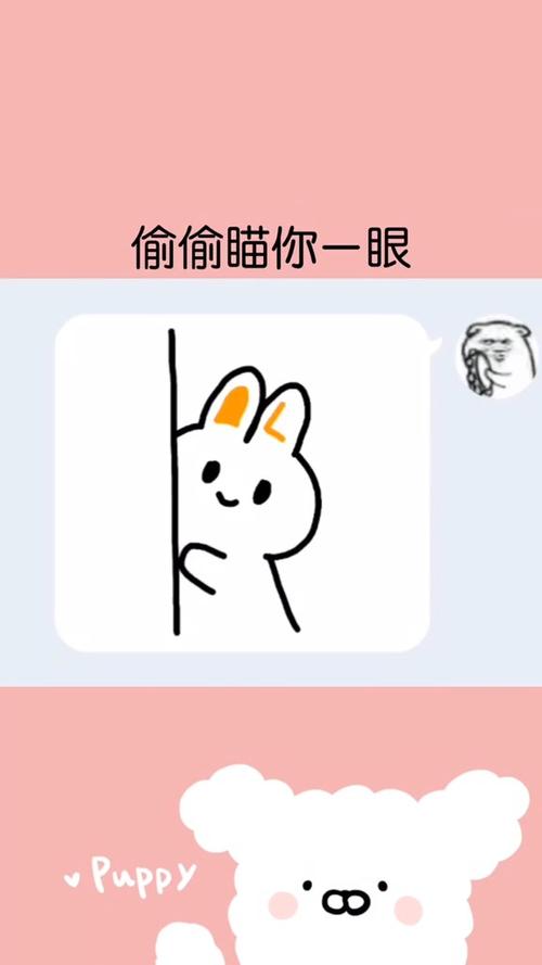 男生偷看女生表情包