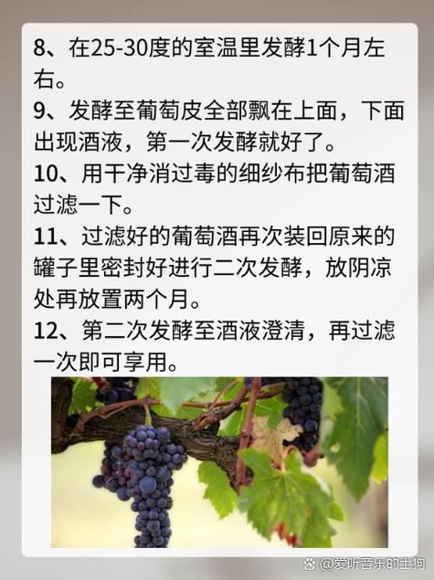 一斤葡萄能酿多少葡萄酒