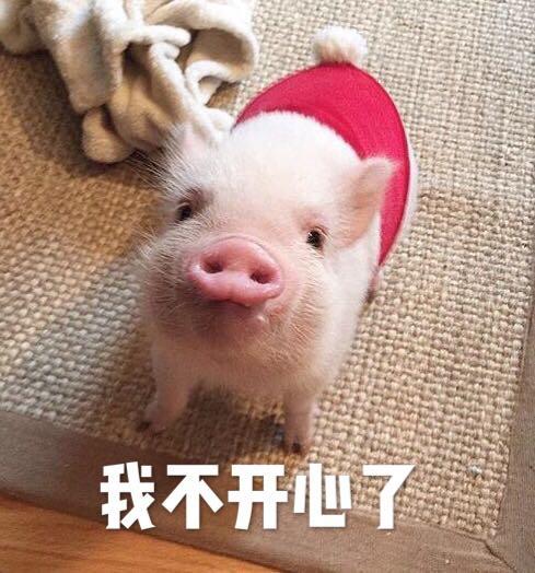 你真可爱是什么意思截图2