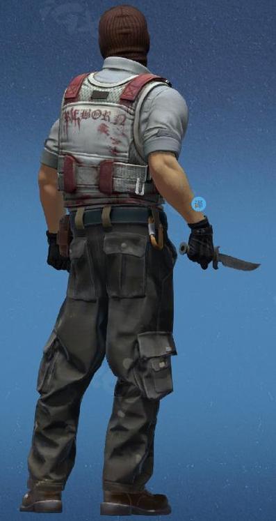 csgo探员第一视角
