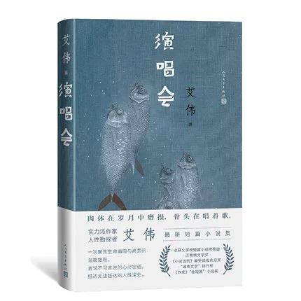 在歌后演唱会上唱歌的小说