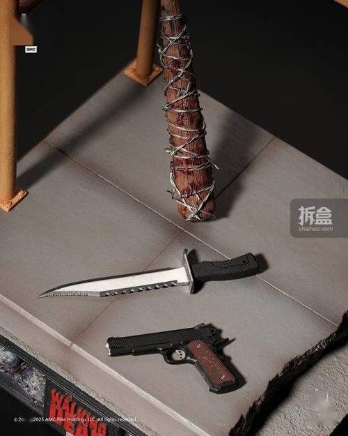 行尸走肉:我有枪斗术 行尸走肉:我有枪斗术