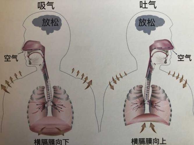 用横膈膜唱歌腹部好酸