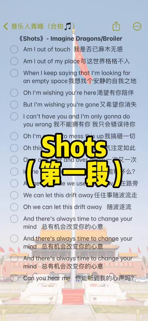 bodyshots歌词