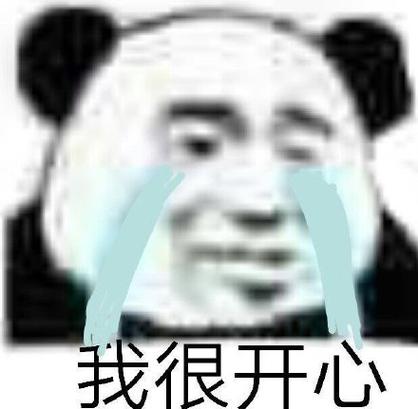 开心的赛假