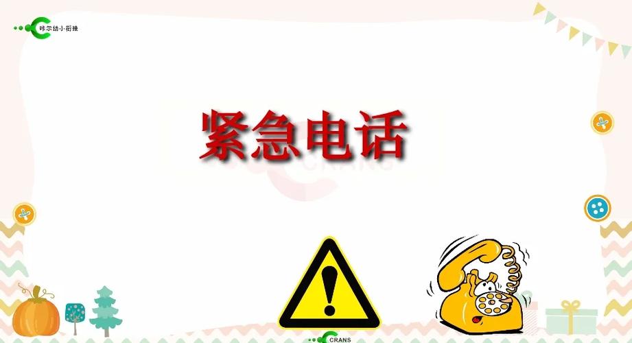 手机只能拨打紧急电话是怎么回事