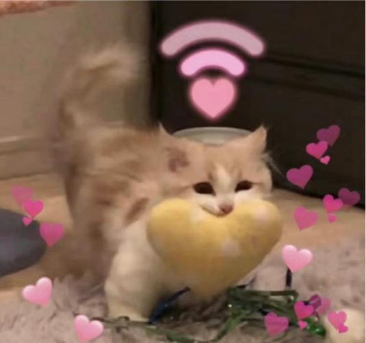 猫爱心表情包 猫爱心表情包